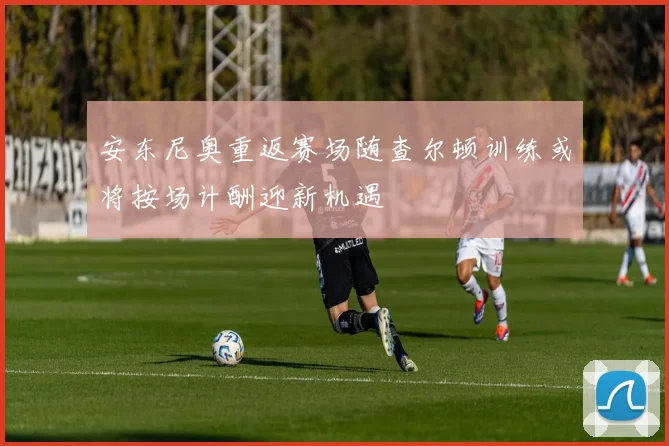 安东尼奥重返赛场随查尔顿训练或将按场计酬迎新机遇