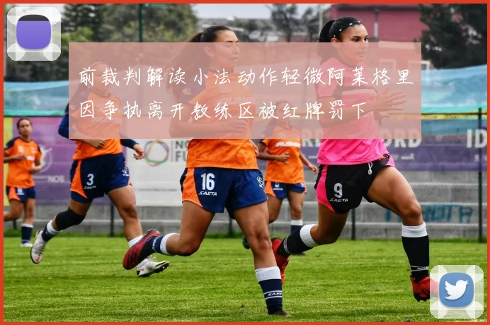 前裁判解读小法动作轻微阿莱格里因争执离开教练区被红牌罚下
